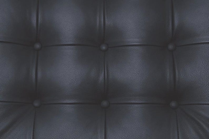 Romantic Minimalist Loveseat – Curved Leather Cushions with Wooden Cantilever Frame